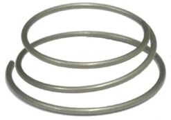 DT Swiss Feder Für Zahnscheiben Hinterrad-Naben