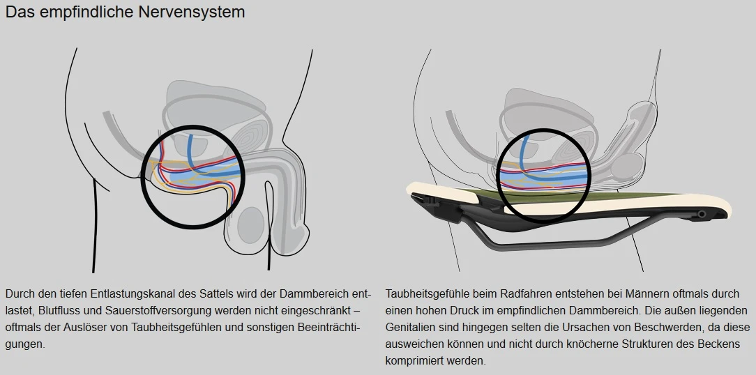 Ergon SM Enduro Comp Men Stealth M/L Sattel 10 Ergon SM Enduro Comp Men Stealth M/L Sattel – Bild 8